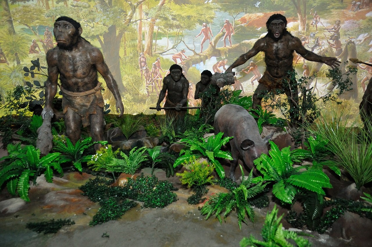 To najstarsza europejska skamieniałość ludzkiego przodka. Niezwykłe odkrycie w Hiszpanii