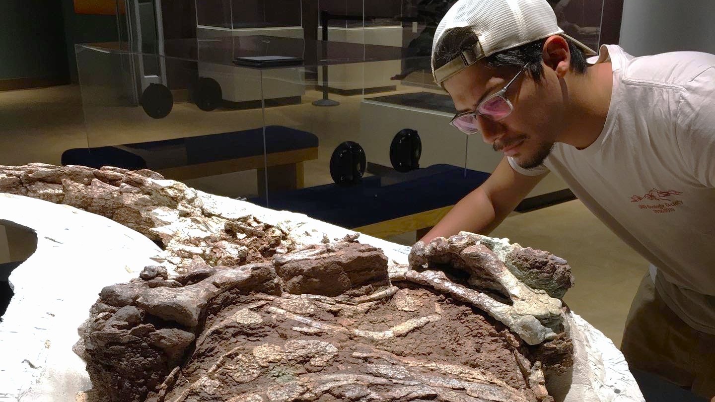 Naukowcy z Uniwersytetu Teksasu w Austin badali skamieniałość aetozaura liczącą 215 mln lat / źródło: Uniwersytet Teksasu w Austin, materiały prasowe
